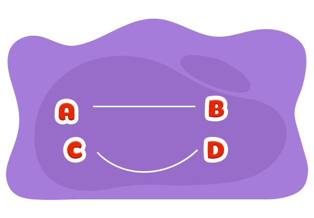 Bài 02. Đường thẳng, đường cong.