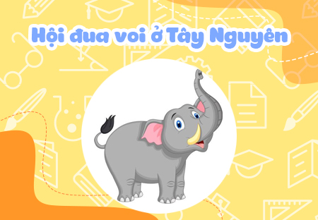 Hội đua voi ở Tây Nguyên