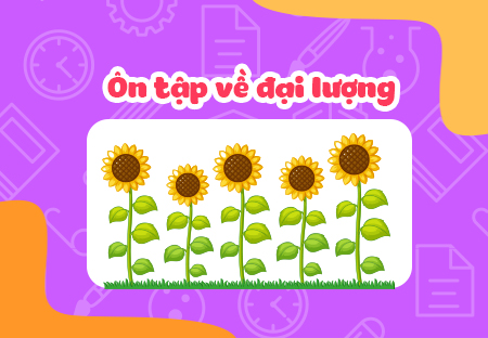 Ôn tập về đại lượng
